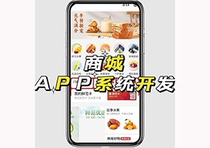 直销app软件开发