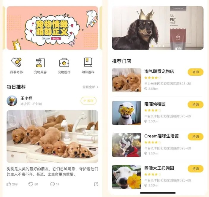 宠物寄养托管平台小程序开发真的很难吗