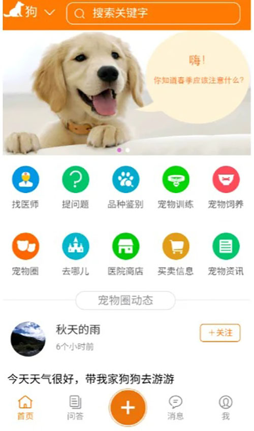 宠物门店领养小程序系统软件开发定制 宠物门店领养小程序系统软件开发定制