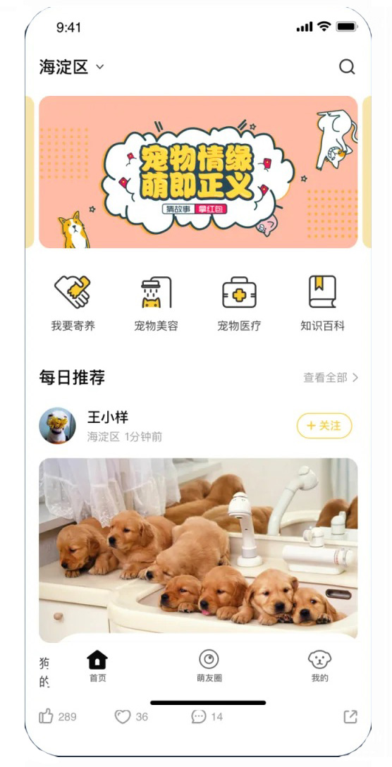 宠物送养领养小程序平台怎么开发制作 宠物送养领养小程序平台怎么开发制作